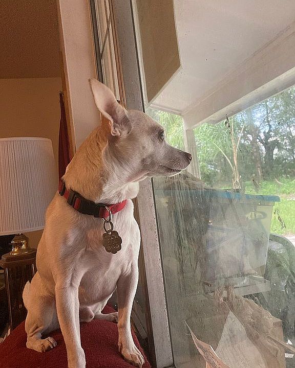 I live here with my grandma 