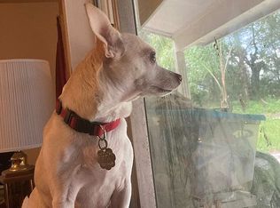 31215 Swan Rd, Sorrento, FL 32776