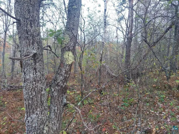 Forest Road 431, Ashland, WI 54806