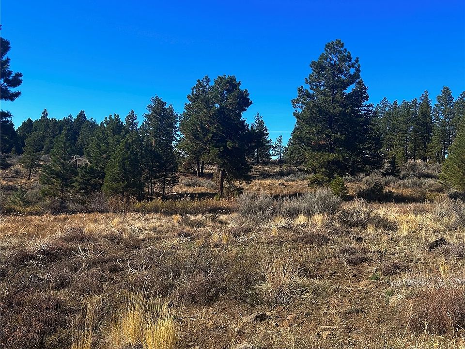 2nd image of 203 Hummingbird Road