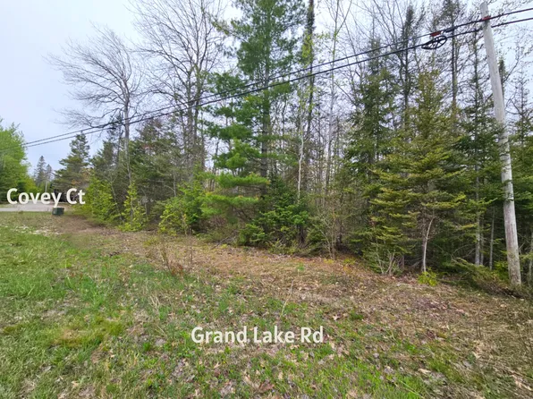204 Esau Ter, Presque Isle, MI 49777
