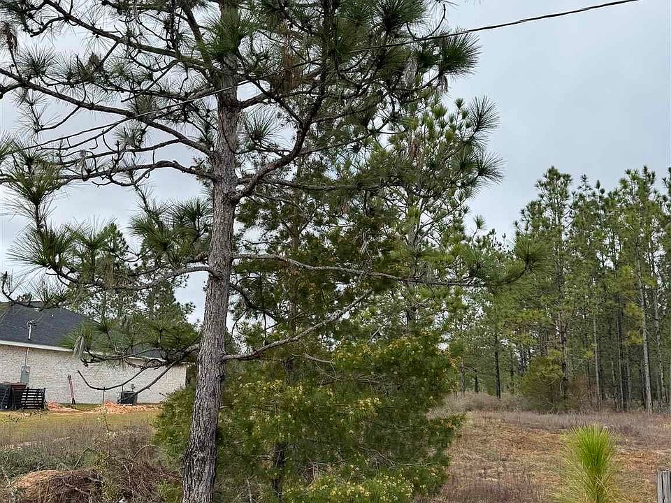 2nd image of 171 N American Farms Rd