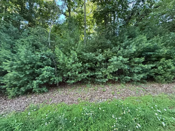 65 Lennox Point, Blairsville, GA 30512