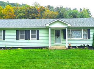 63 Maple St, Savona, NY 14879