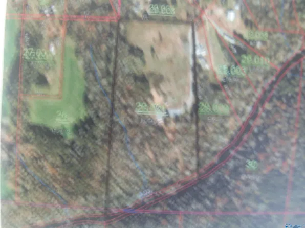 188 Creek Rd, Fyffe, AL 35971