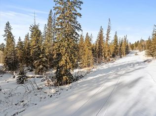 5 Lost Camp Trl, Lead, SD 57754