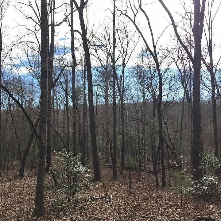 2nd image of 36686 Table Rock Rd