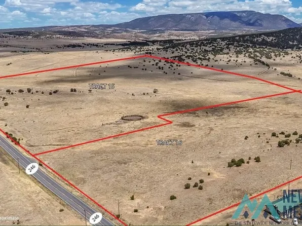 N 246th, Capitan, NM 88316
