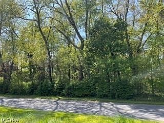 2nd image of Meadows Rd