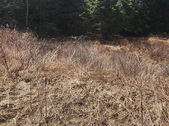 3rd image of 4 Maple Summit Rd