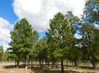 5176 Taos Cir, Happy Jack, AZ 86024