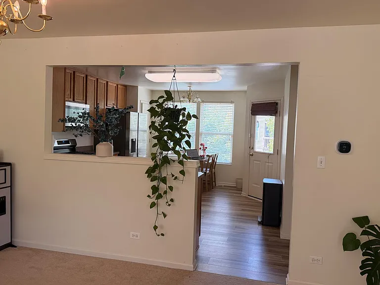 484 Belvedere Ln — Photo 8
