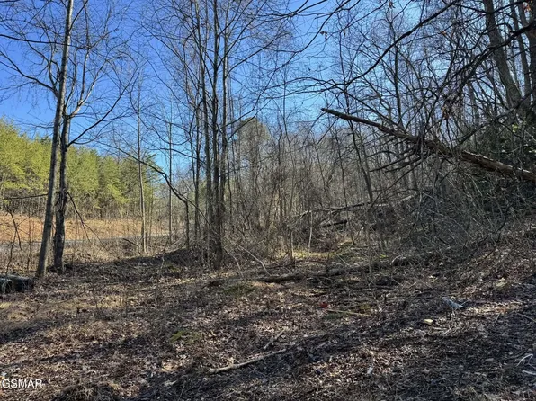 27 Blue Springs Way Lot 27, Newport, TN 37821