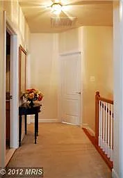 8853 Modano Pl — Photo 13