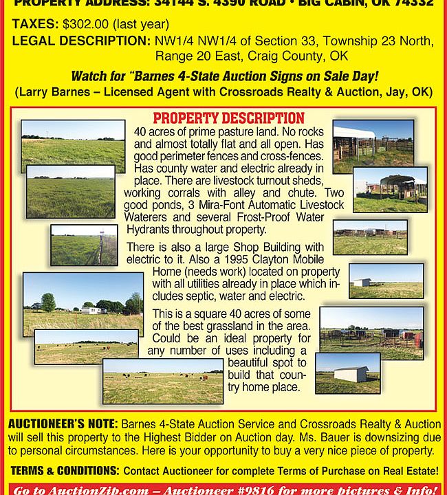 Auction Flyer