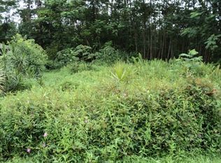 Lehua Rd LOT 389, Pahoa, HI 96778
