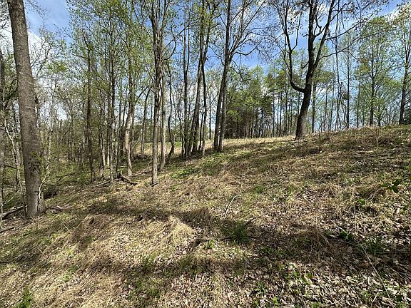 5th image of 0 Maggart Rd Lot 4