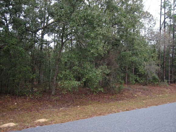1st image of 3812 W Lon Ln
