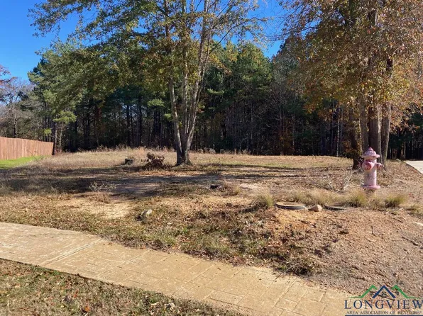 4228 Savannah Hills Ln, Longview, TX 75605