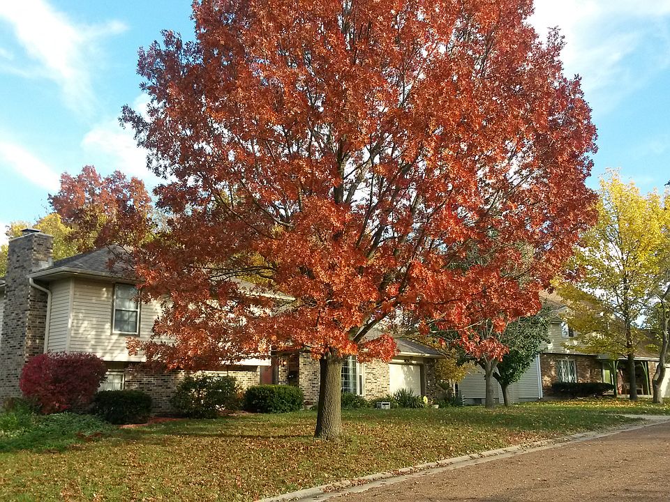 large yard 140ft frontage
