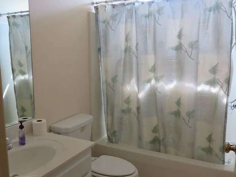 112 Shade Tree Ct — Photo 18