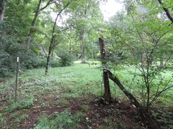 0 Lotus Dr, Sylva, NC 28779