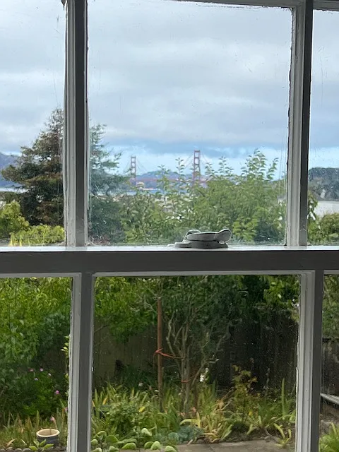Studio, 425 sqft, $2,500 — Photo 3