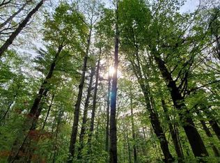 1009 Gonder Rd, Interlochen, MI 49643