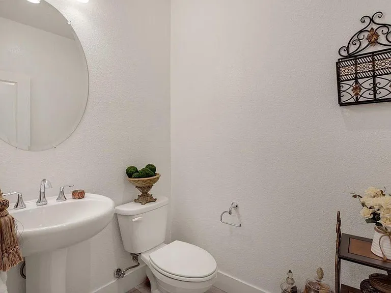 40689 Squill Cmn — Photo 10