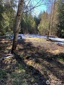 47 XX 250th Avenue SE, Issaquah, WA, 98029