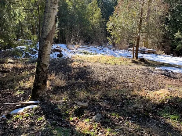 47 XX 250th Avenue SE, Issaquah, WA 98029