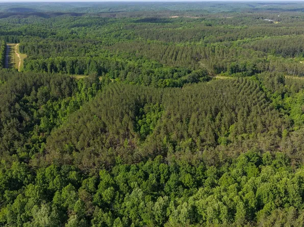 0 Darbytown Rd, Hohenwald, TN 38462