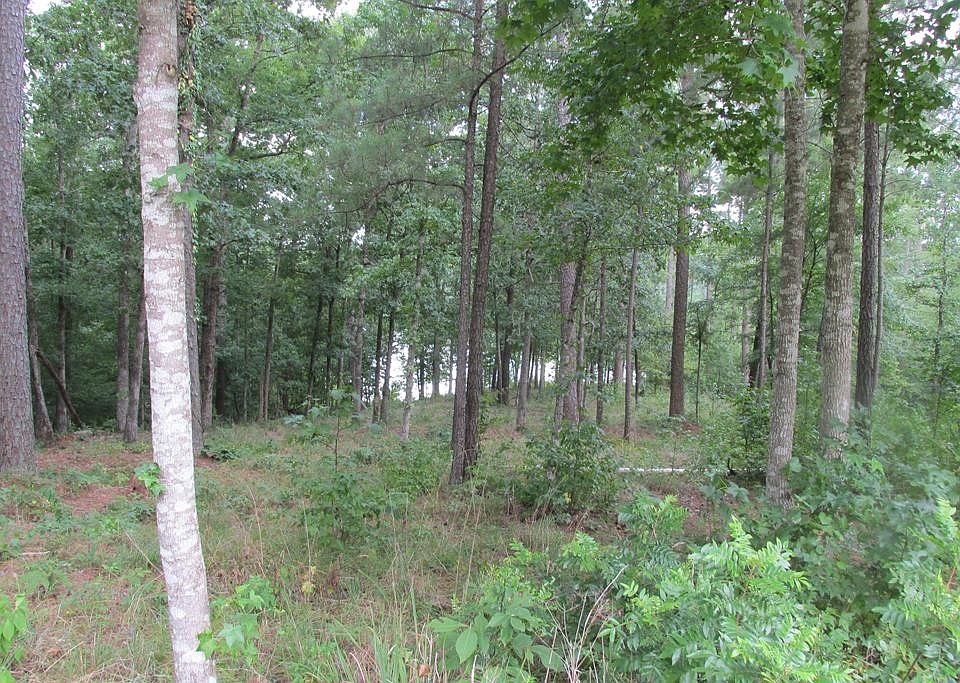 2nd image of L12BL29 Ashland Drive