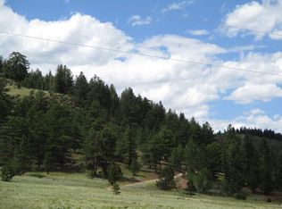75 Water Tank Cir, Hartsel, CO 80449