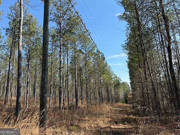 5th image of 1 Allen Rd