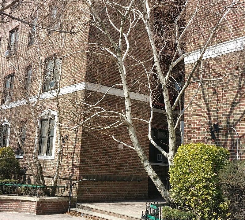 1st image of 8814 Bay Pkwy APT 5L