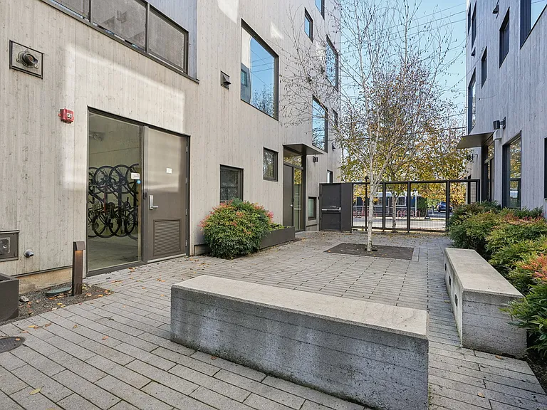 Shared courtyard Area
