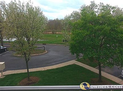 View From Balcony