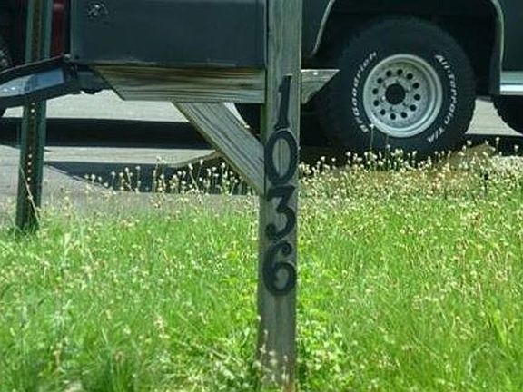 4th image of 1036 Allen Rd