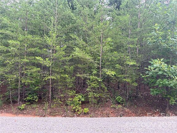 5th image of 102 Boysenberry Dr