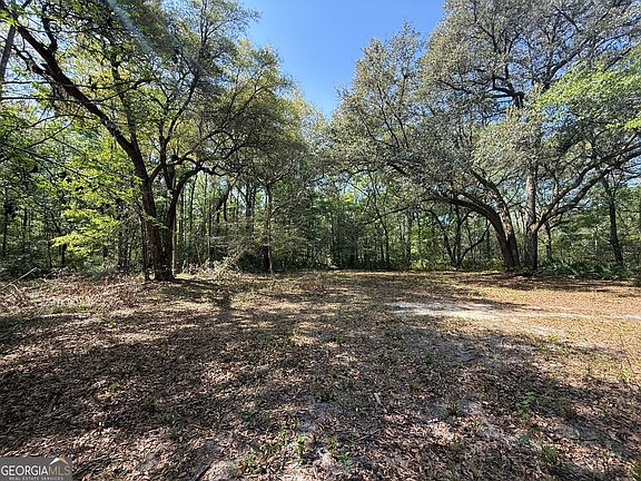 3rd image of 315 High Bluff Rd