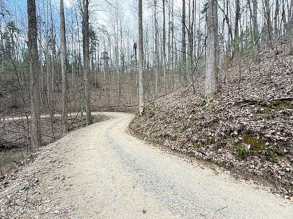 5th image of 4.01 Reece Hollow Rd
