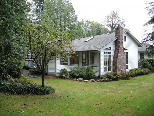 View of the back corner