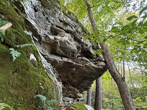 LOT 408 E Obey Ln, Wilder, TN 38589