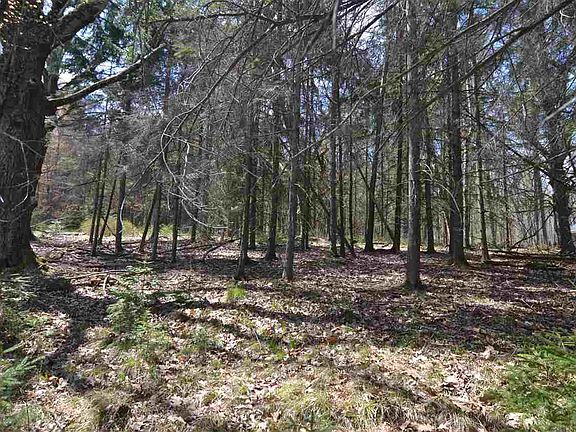 3rd image of Deer Tail Ln Lot 7