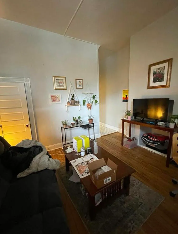 1 bed, 550 sqft, $1,490 — Photo 3