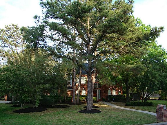 Beautiful home nestled into a .9 acre lot.