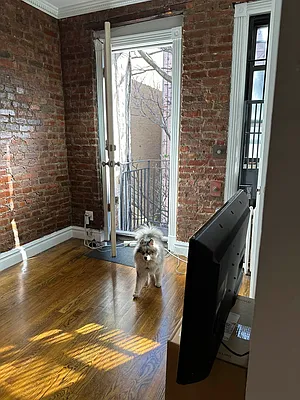 Rented by Nest Seekers International | media 9