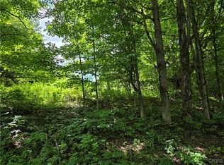 Houseville Gulf Rd, Lowville, NY 13367