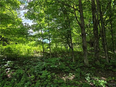 Houseville Gulf Rd, Lowville, NY, 13367